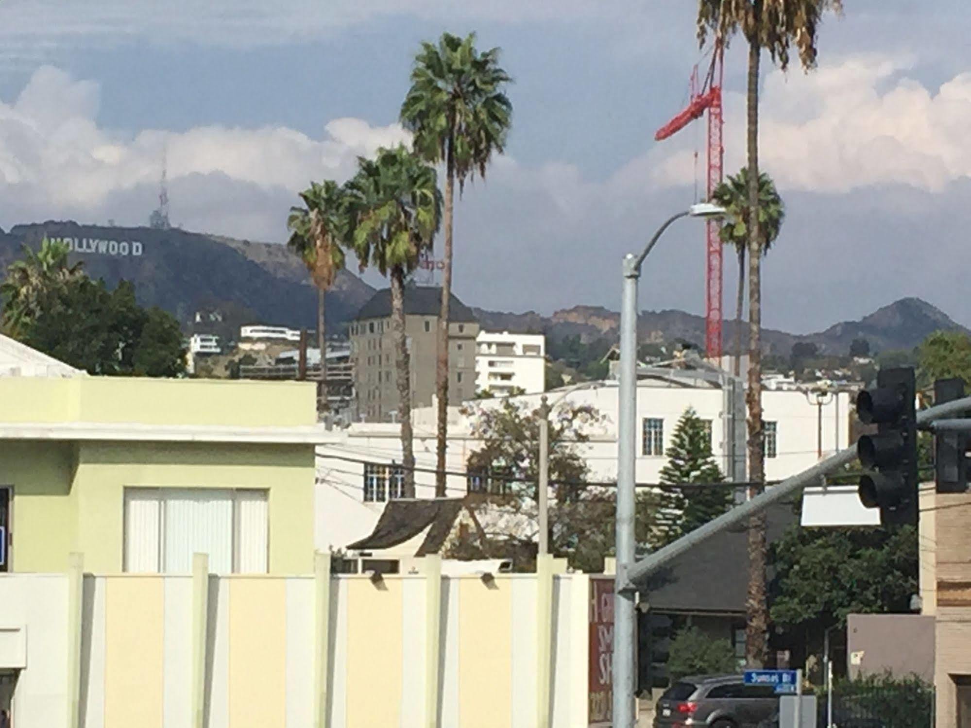 Hollywood Guest